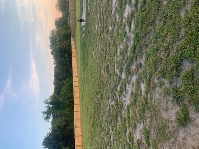 NY Dobermans Dog boarding/daycare